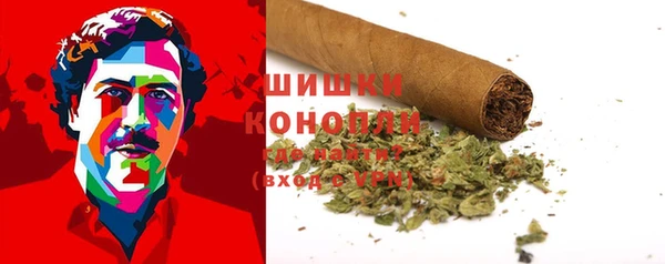 метадон Каменногорск