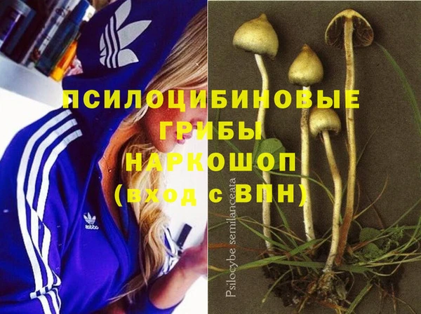 ECSTASY Каменка