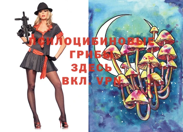метадон Каменногорск