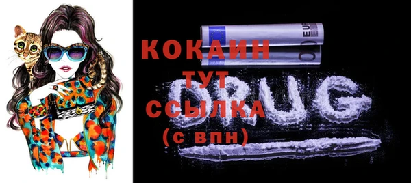 ECSTASY Каменка