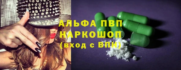 ECSTASY Каменка